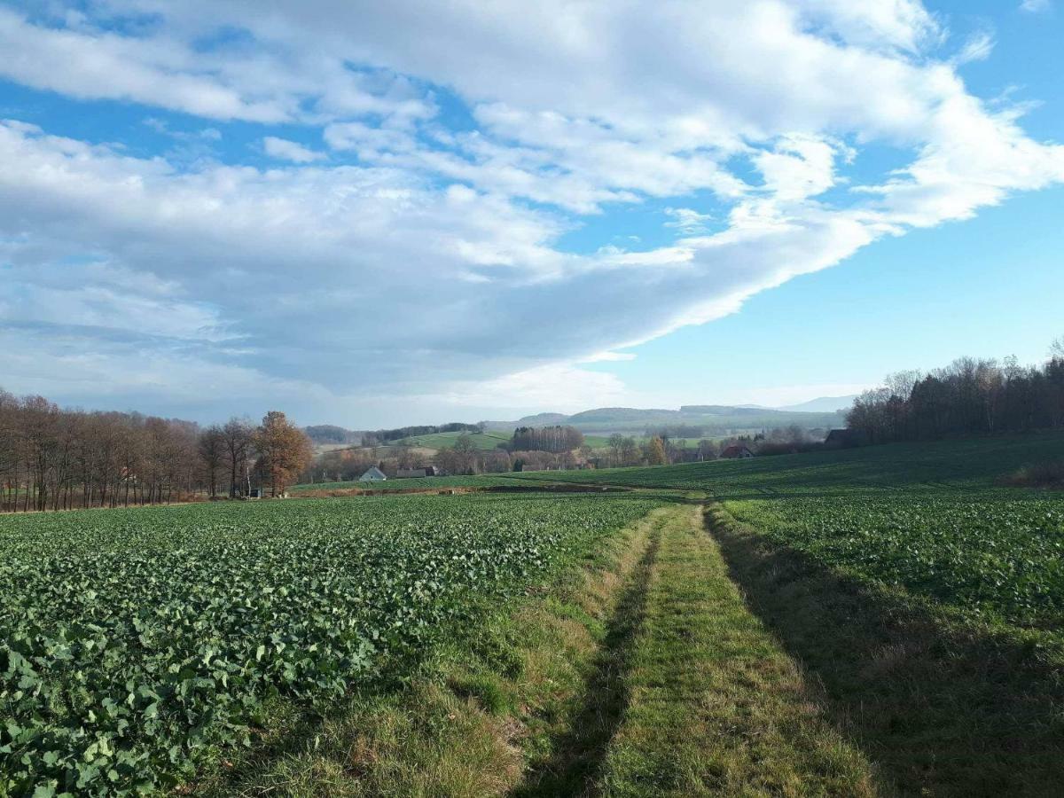 Agroturystyka U Swiatkow Stara Kamienica Dış mekan fotoğraf